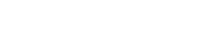 <span style="font-family: 'Arial Black';">Partner system</span>